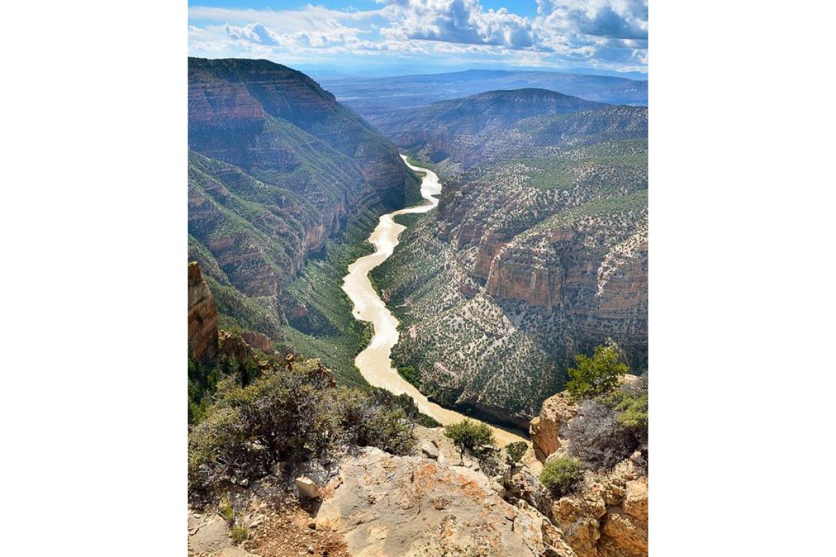 The Green River winds its way through Dinosaur National Monument