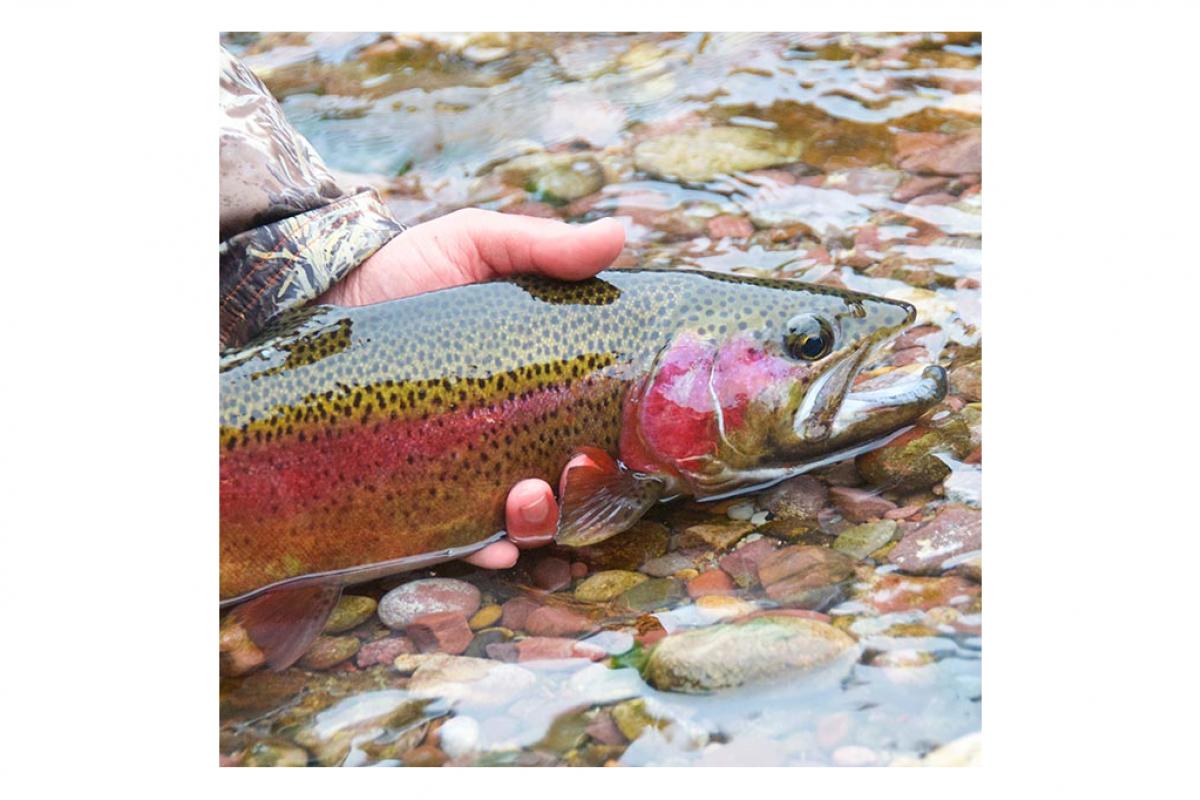 The Green River is known as a world-class fly fishing destination