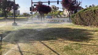 Lawn sprinkler irrigation