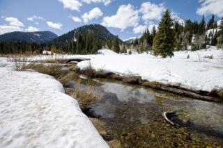 Stream and Snow Pack in the Mountains