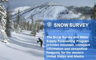 Snow Survey