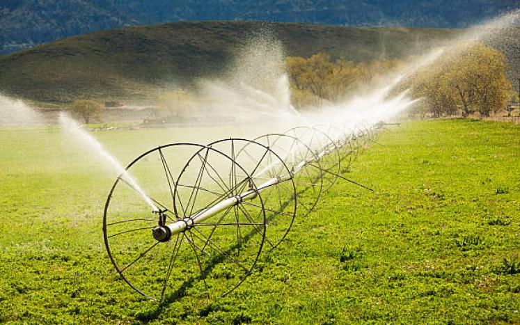 Wheeline Irrigation